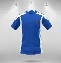 StrideX Aqua Force